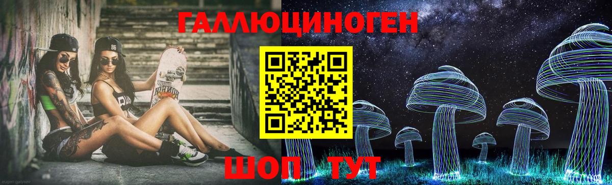 Галлюциногенные грибы Psilocybe Волжск